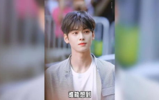 车银优：韩国国旗下的璀璨星辉