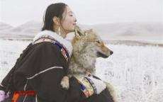 重返狼群再度爆火，李微漪深情回应引发热议